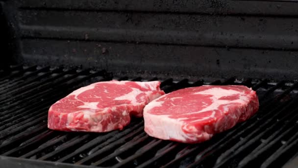 Two Raw Rib Eye Steaks Getting Ready Cook Grill — Vídeo de Stock