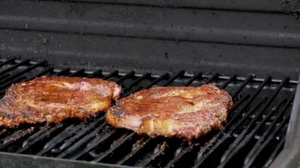 Two Juicy Rib Eye Steaks Sitting Grill Cooking — Stock Video