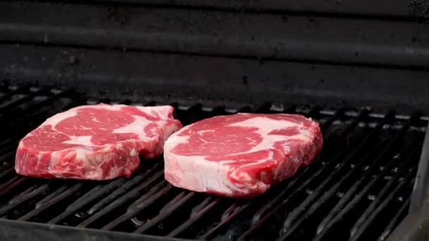 Two Raw Rib Eye Steaks Getting Ready Cook Grill — Vídeo de stock