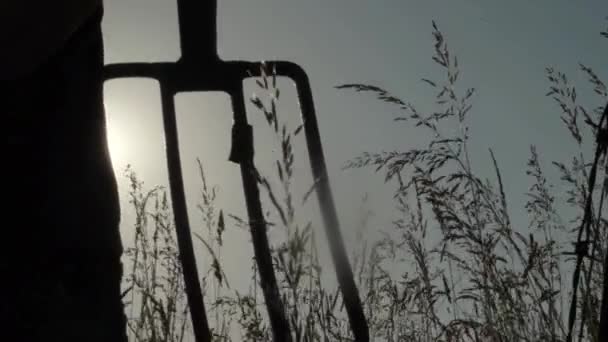 Digging Field Fork Sunshine — Video