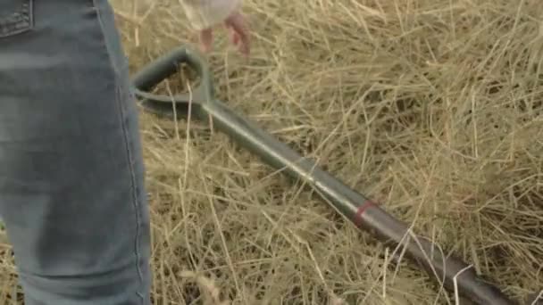 Farmer Turning Hay Stack Fork — Vídeos de Stock