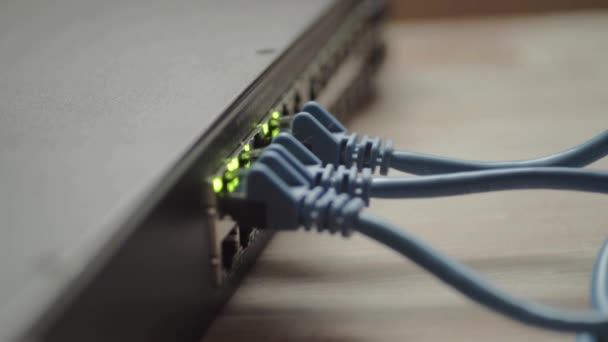 Network Engineer Working Ethernet Cable Switch — Vídeo de Stock