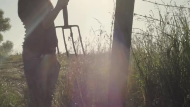 Farmer Digging Hay Field Fork Sunshine — 图库视频影像