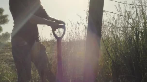 Digging Field Fork Sunshine — Videoclip de stoc