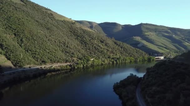 Curve Hill Douro River Reveal Stunning Landscape Douro Valley Morning — kuvapankkivideo
