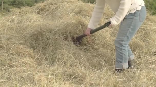 Farmer Turning Hay Stack Fork — Stockvideo