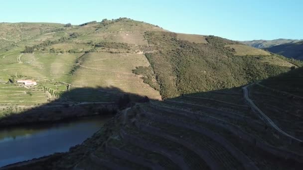 Descending Stone Vine Terraces Shaded Side Hill Overlooking River Portugal — ストック動画