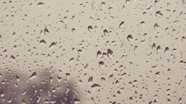 Summer Rain Glass Drops Water Glass Wet Window Glass Rain — Stockvideo
