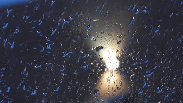 Summer Rain Glass Drops Water Glass Wet Window Glass Rain — Video