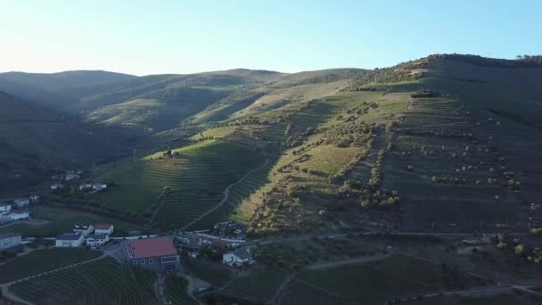 Panning Beautiful Scene Douro Valley Portugal Communities Lit Soft Morning — Stock video