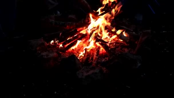 Camp Fire Burning Cold Night — Stock Video