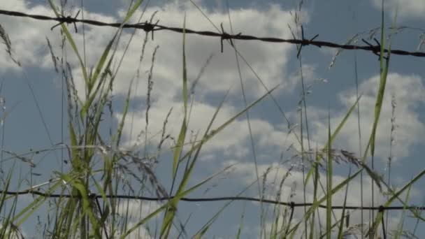 Cloudscape View Barbed Wire Fence — Stock Video