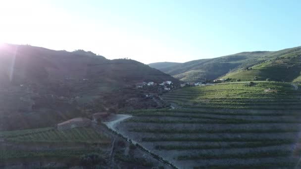Slowly Flying Distant Hill Covered Terraced Vineyards Breathtaking Douro Valley — Αρχείο Βίντεο