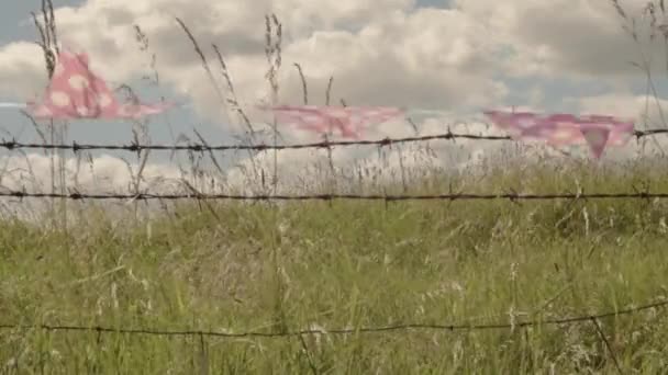 Bunting Polka Dot Cloudy Blue Sky Rural Landscape — Vídeo de stock