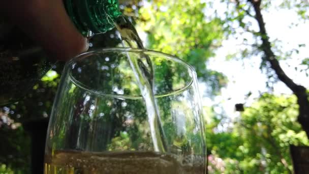 Langzame Beweging Gieten Van Mousserende Drank Een Glas — Stockvideo