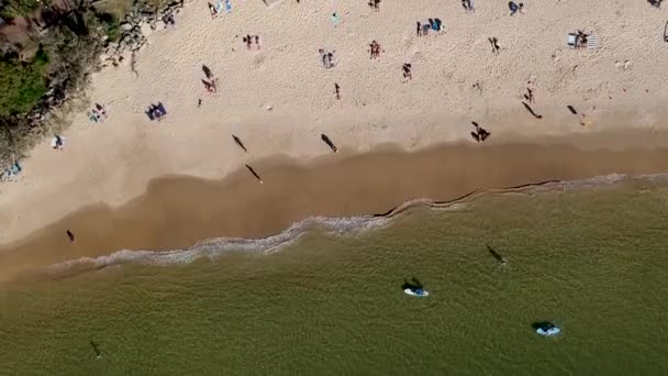 Aerial Top View Swimmers Beach Noosa Main Beach Noosa Heads — Vídeos de Stock