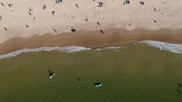 Aerial Top Waves Coming Noosa Main Beach Noosa Heads Queensland — стоковое видео