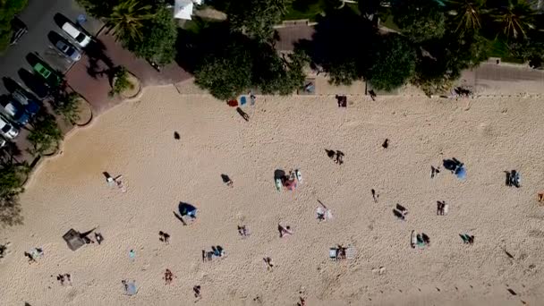Aerial Top View Busy Noosa Main Beach Noosa Heads Queensland — ストック動画