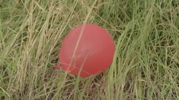 Lonely Red Balloon Left Grass — Stockvideo