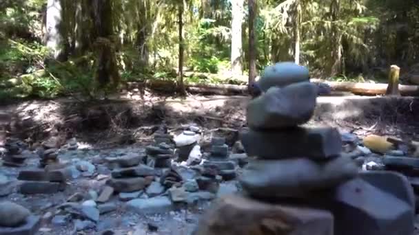Roger Creek Foro Nel Muro Isola Vancouver — Video Stock