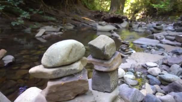 Roger Creek Loch Der Mauer Vancouver Island — Stockvideo