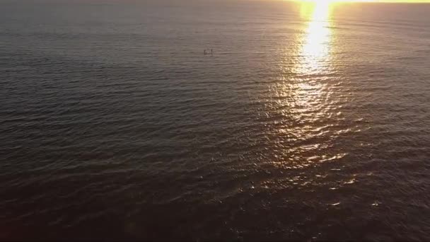 Sunrise Drone Shot Water Paddle Boarders Passing Golden Light Rays — 图库视频影像