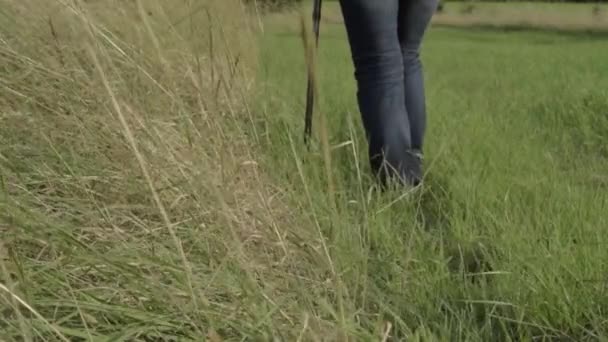 Woman Walks Countryside Walking Stick — Stok video