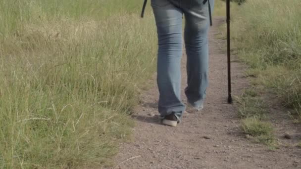Hiker Dusty Country Path Walk Stick — Stok Video