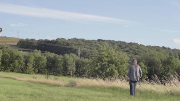 Woman Walks Countryside Walking Stick — Stock video