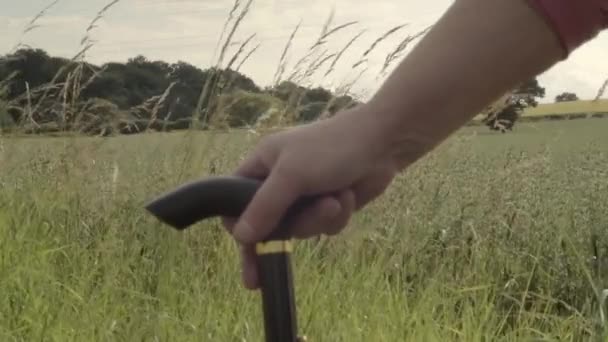 Holding Walking Stick Countryside Landscape Background — Stockvideo