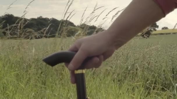 Holding Walking Stick Countryside Landscape Background — Stock video