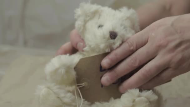 Labeling Children Lost Teddy Bear — Vídeo de Stock