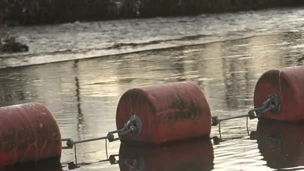 Floating Water Buoys River Gulls — Stockvideo