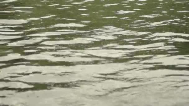 Green Rippling Murky Water Lake — Vídeo de Stock