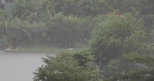 Tropische Regenval Namiddag Zuidoost Azië Landschap Van Bomen Oude Fabrieksgebouwen — Stockvideo