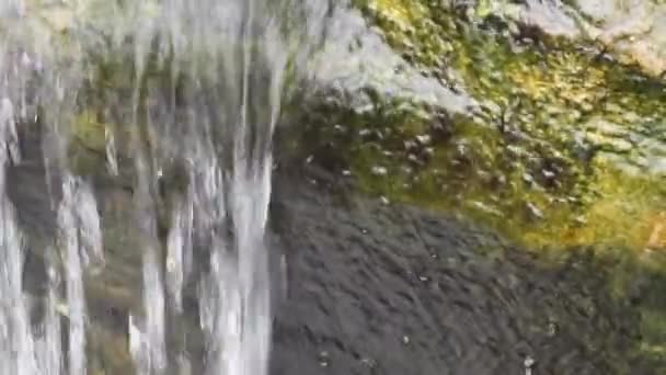 Voda Tekoucí Skalách Lese — Stock video