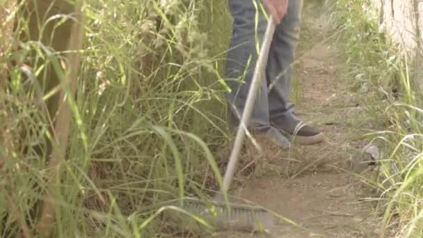 Homeowner Sweeping Overgrown Pathway Broom — Wideo stockowe