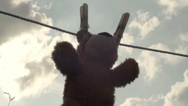 Teddy Bear Hangs Washing Line Dry — стоковое видео