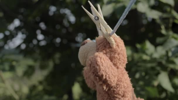 Teddy Bear Hangs Washing Line Dry — Stock Video