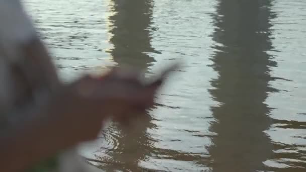 Woman Using Cell Phone River Slow Motion — Stockvideo