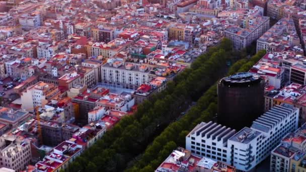 Barcelona Gothic Quarter Cityscape Air View Sunset Spain — стокове відео