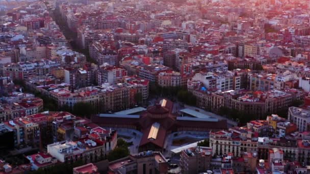 Barcelona Aerial View Mercat Sant Antoni Spain — стокове відео