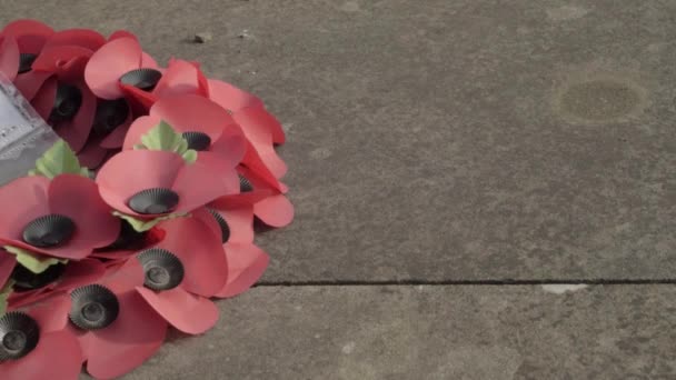 War Memorial Wreath Poppies — Stockvideo