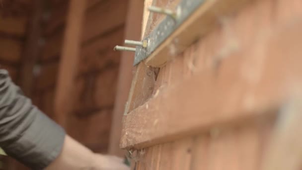 Woman Hanging Gardening Hand Tool Shed Door — Stockvideo