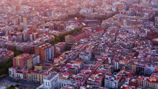 Barcelona Gothic Quarter Air View Spain — стокове відео