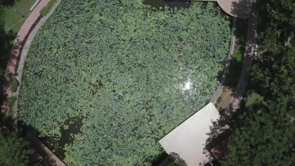 Top Aerial View Modern Urban Park Featuring Lakes Lush Gardens — Video