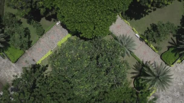 Long Shot Top Symmetrical Aerial View Modern Urban Park Featuring — Vídeo de Stock