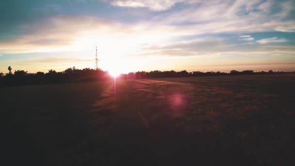 Aerial Drone Shot Wheat Field Wichita Kansas — Wideo stockowe