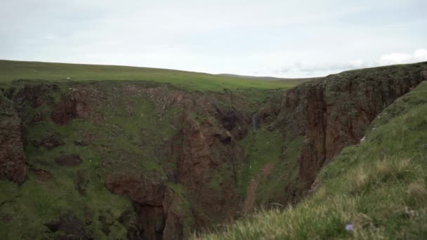 Sea Birds Nesting Steep Cliff Face – Stock-video