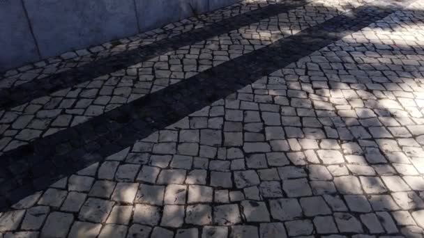 Black White Portuguese Calcada Pavement Tavira Portugal — 图库视频影像